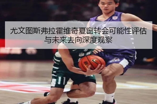 尤文图斯弗拉霍维奇夏窗转会可能性评估与未来去向深度观察